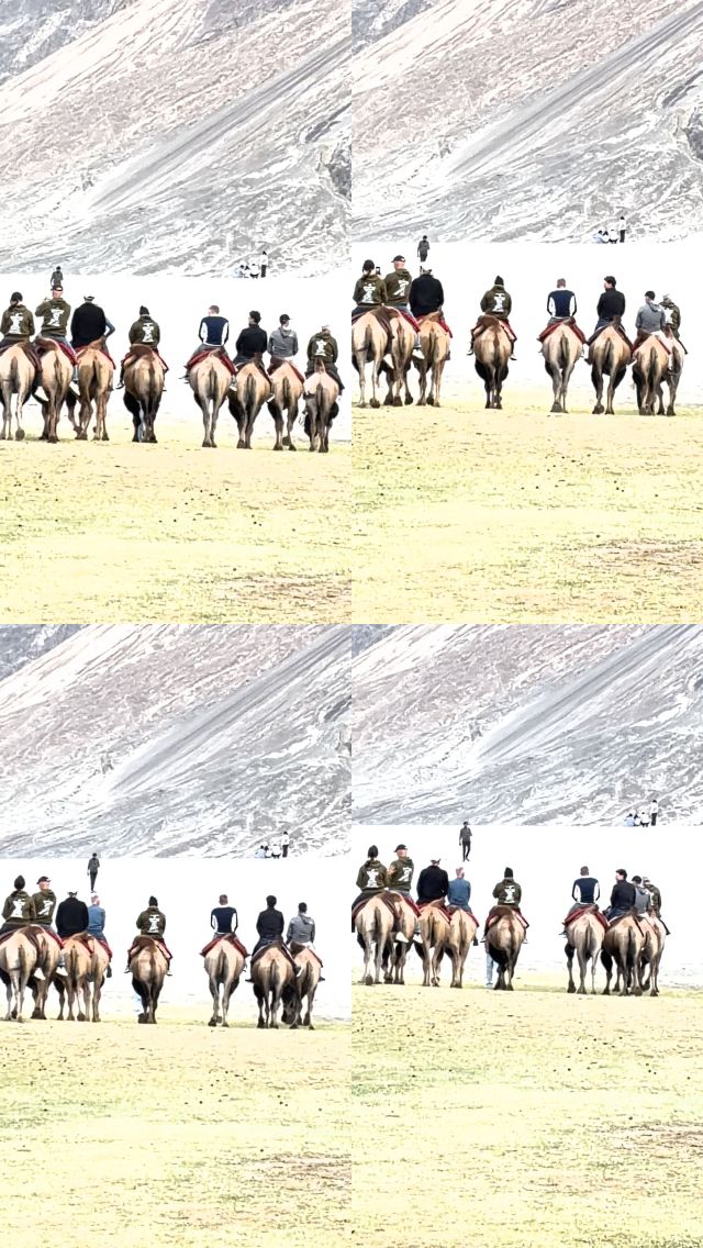Sampled frames from IMG_8849.MOV