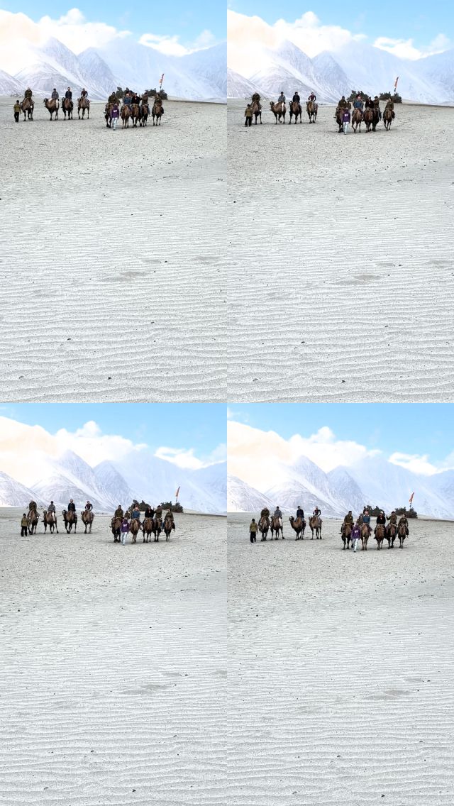 Frames from IMG_8850.MOV